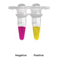 Negative-Positive