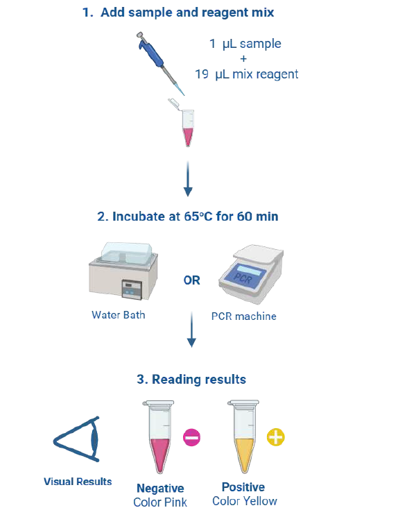 Simple protocol